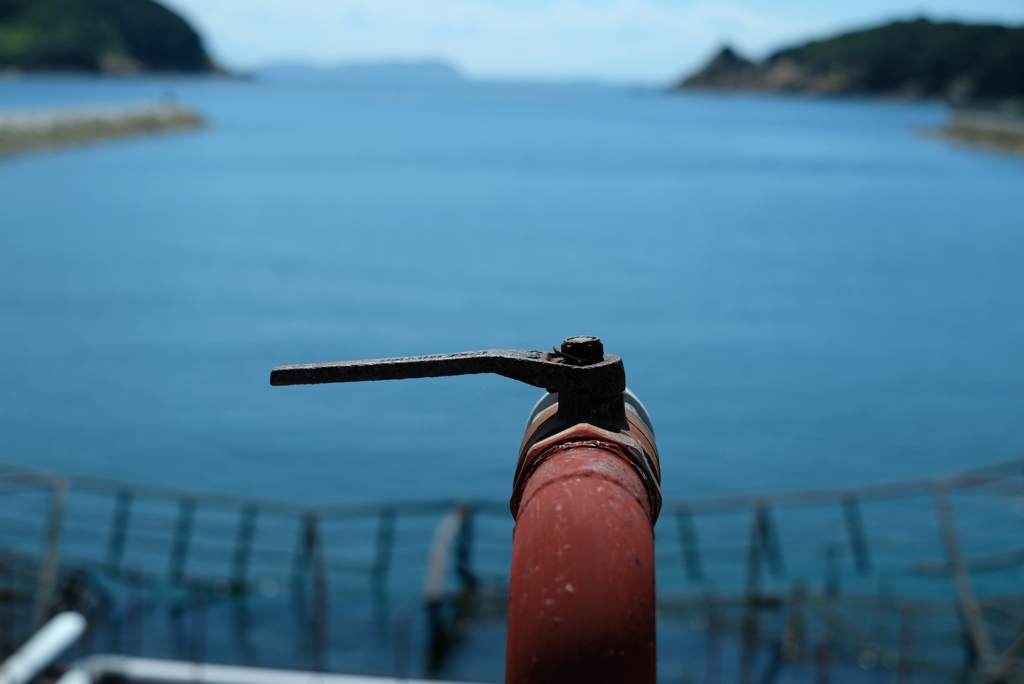 今日は一日、海を見ていた