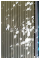 光 ゆれる･･･