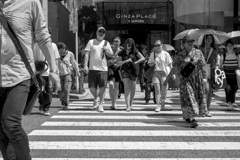 熱帯都市TOKYO-202407
