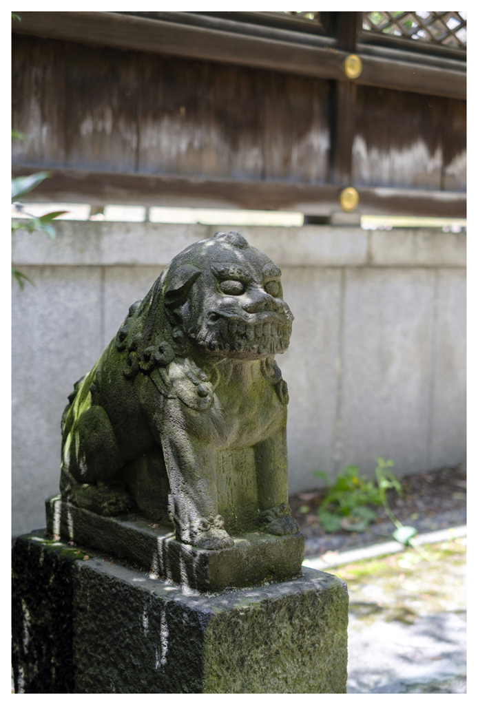 見守り続けて･･･