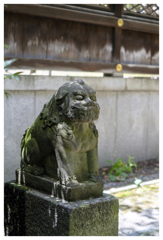 見守り続けて･･･
