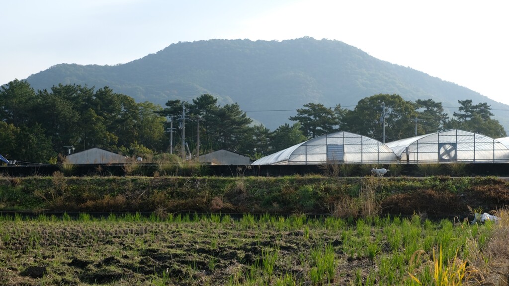 やっぱり、じどうしゃやま･･･