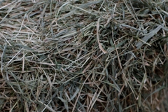 干し草のかたち-②