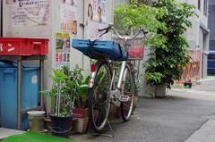 日本橋ジテンシャ-④