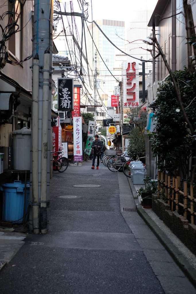 1月の東京-③