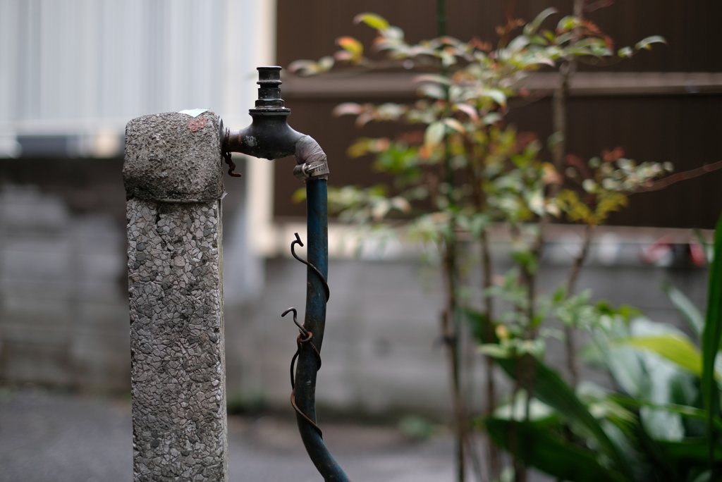 水をめぐる冒険-⑤