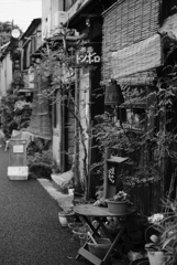ACROSが-③