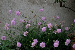 不思議な･･･