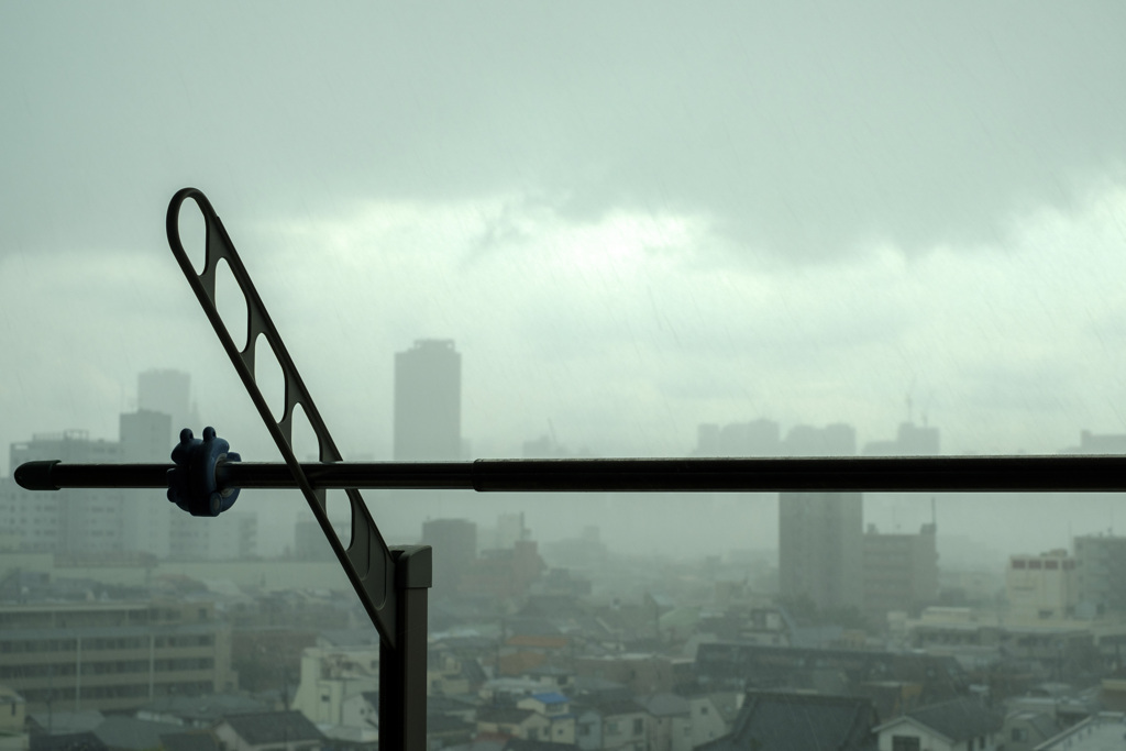 降る雨に想う･･･