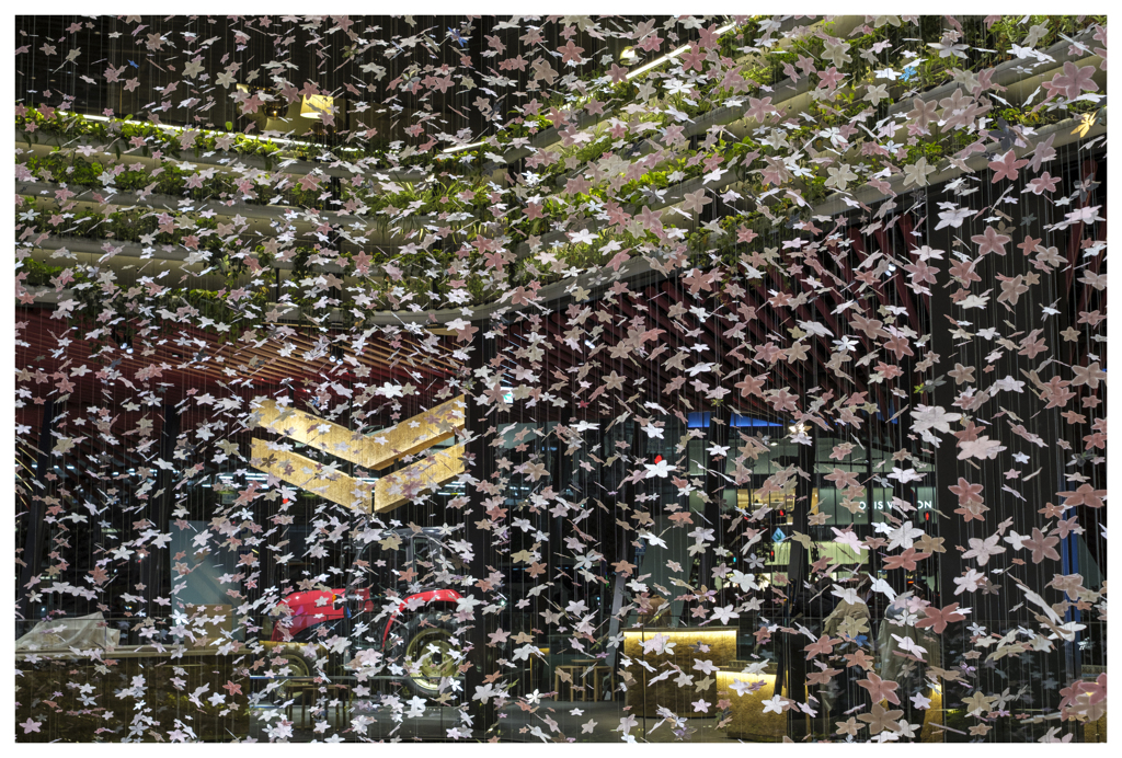 舞いあがる･･･