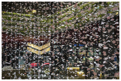 舞いあがる･･･