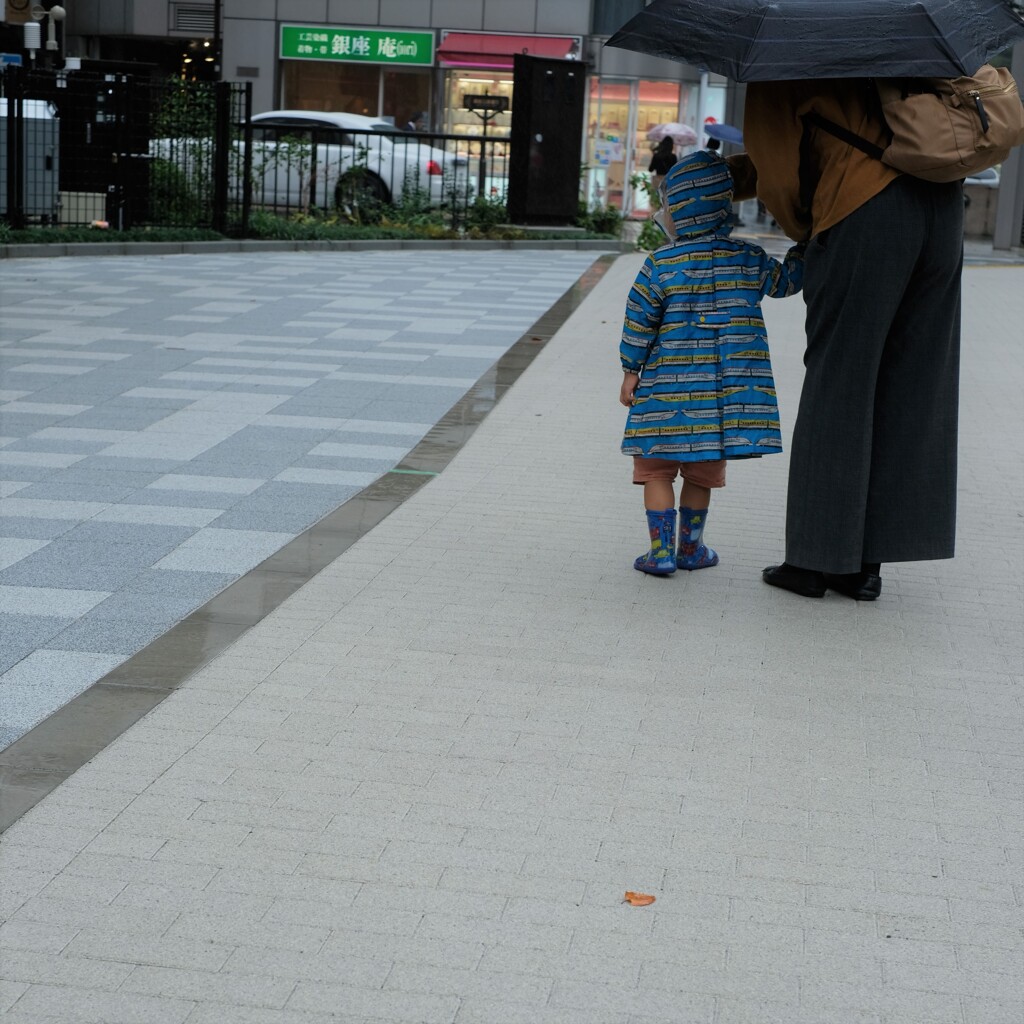 雨ガ空カラフレバ･･･