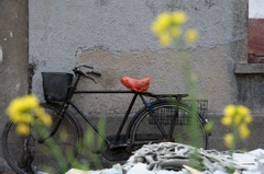 上海じてんしゃ-①