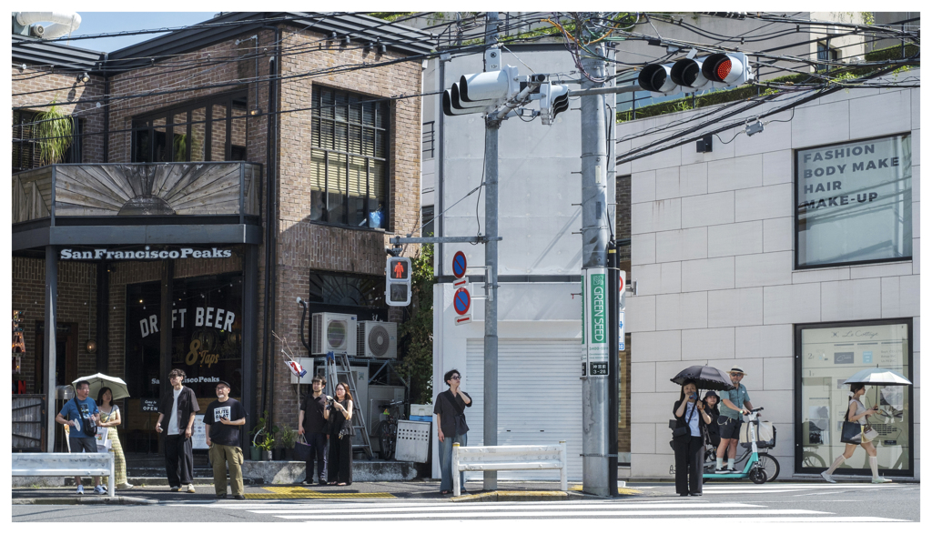 八月 東京 信号待ち