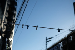 神様の洗濯干し場