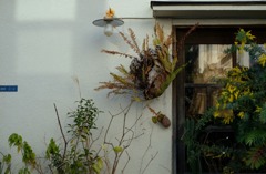 花を生けるように撮る-⑤