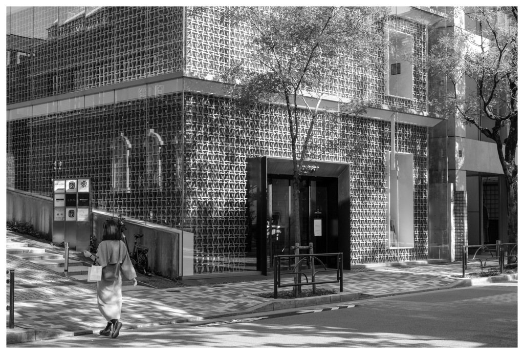 木漏れ日ストリート･･･