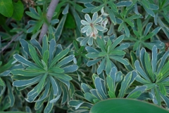 個性的な･･･