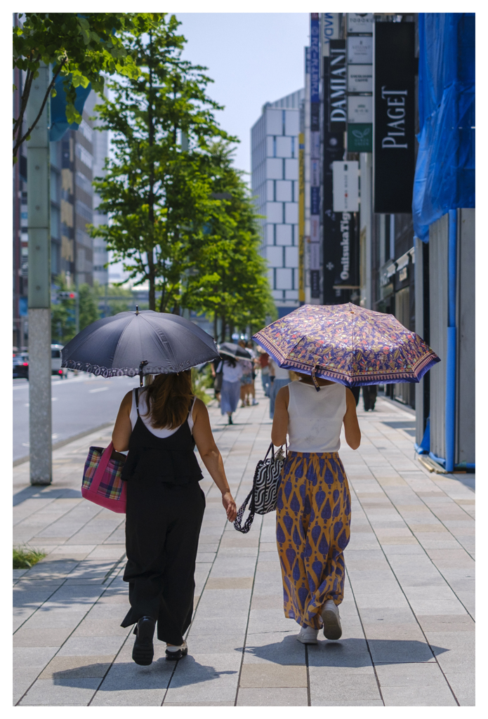 七月 東京 35℃