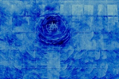 Blue　Rose
