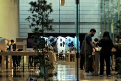 かじられた林檎を売る・・・