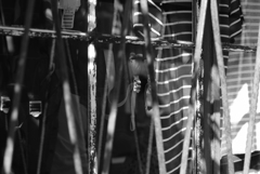 夏が来る前の-②