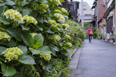 雨の日の楽しみ方･･･