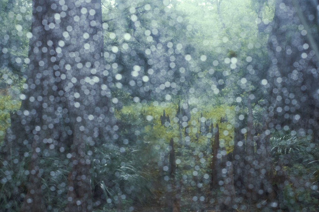 雨の日は時をさかのぼる･･･
