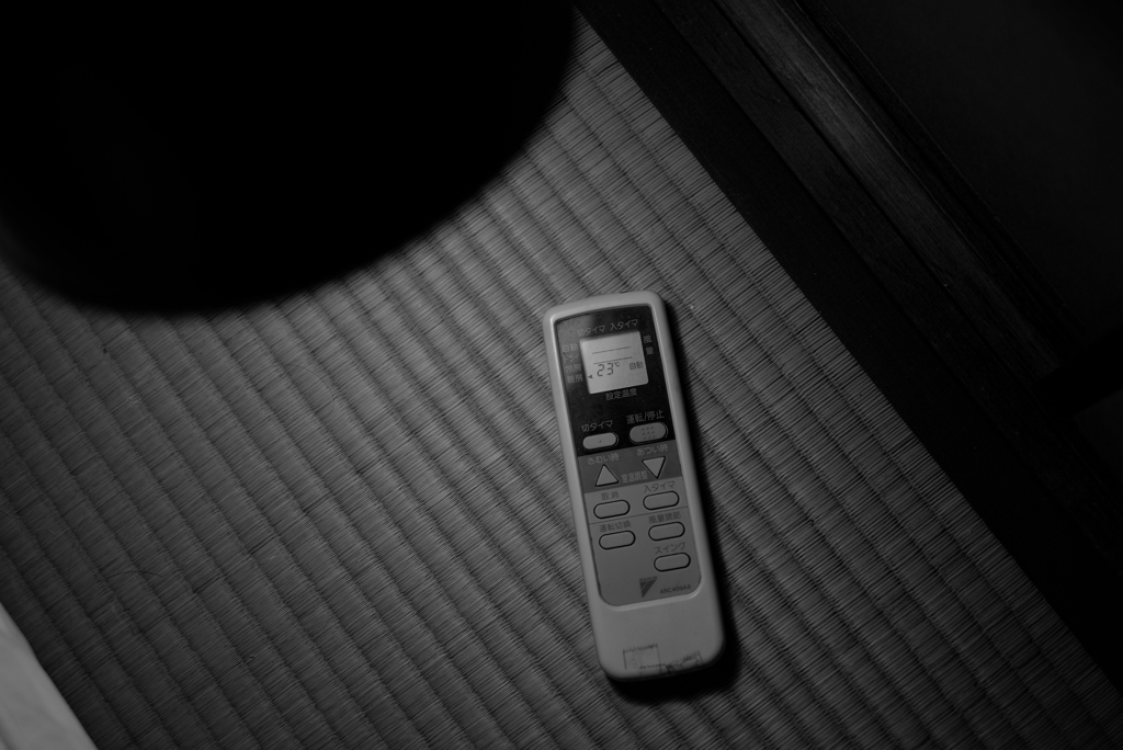 故郷に帰るということ-2019初春