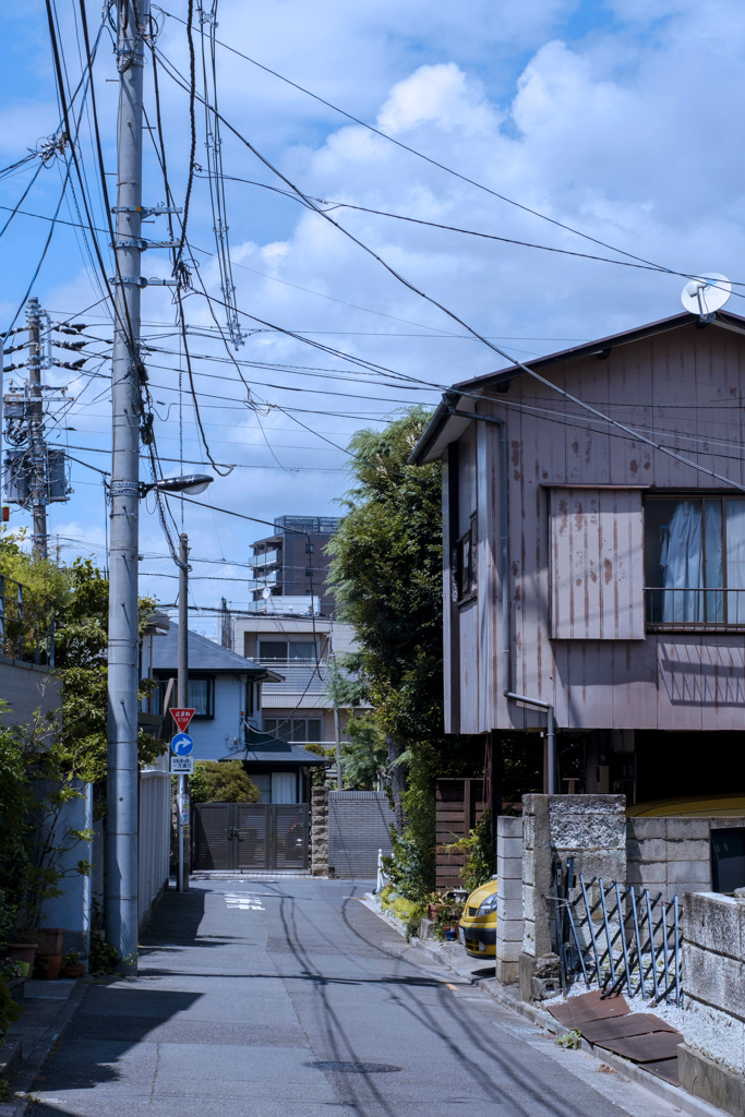 7月10日、午後、投票に行く。