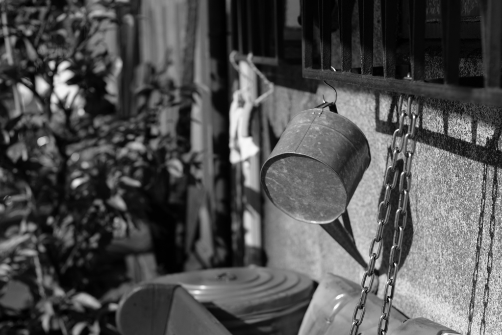 夏が来る前の-①