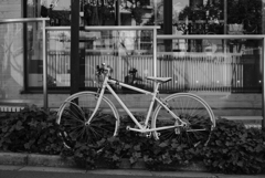 TOKYO自転車-②