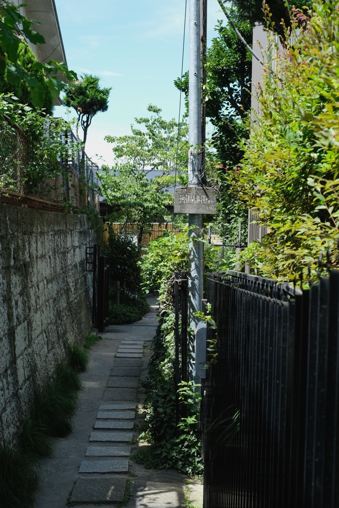 夏が来た-②