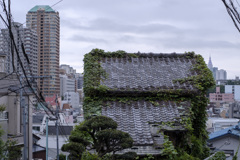 気がつけば、時は流れ･･･