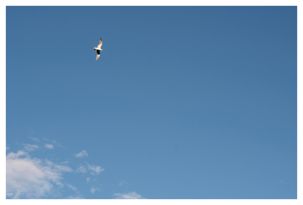 さらに空は遠く・・・