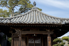 遠い夏の記憶･･･