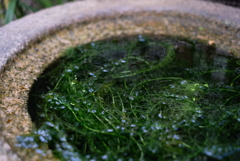 ふと気になった-②