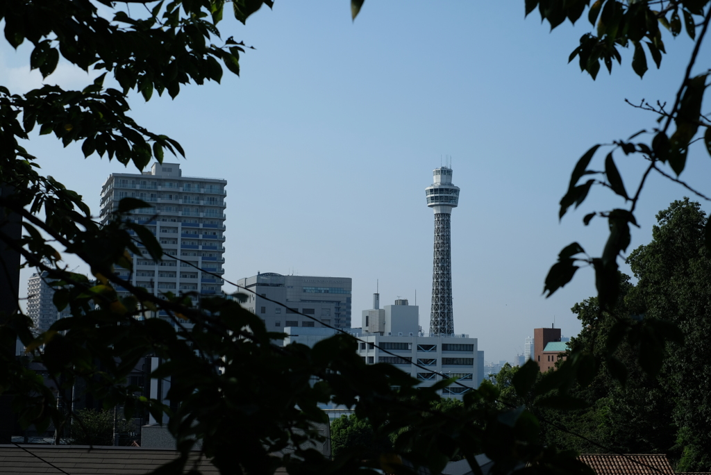 坂道の途中から