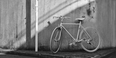 日曜日-午後-白い自転車
