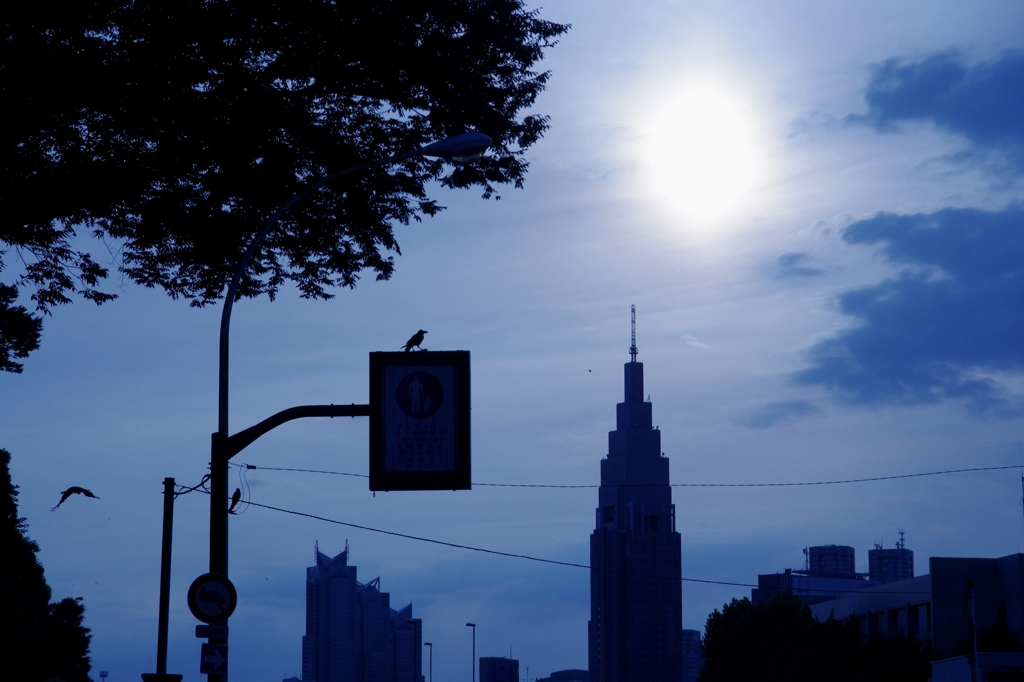 トーキョーブルー-③