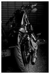 トーキョーズ メタルｰ202512