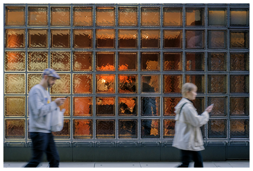 ねぇ･･･この道で合ってる？