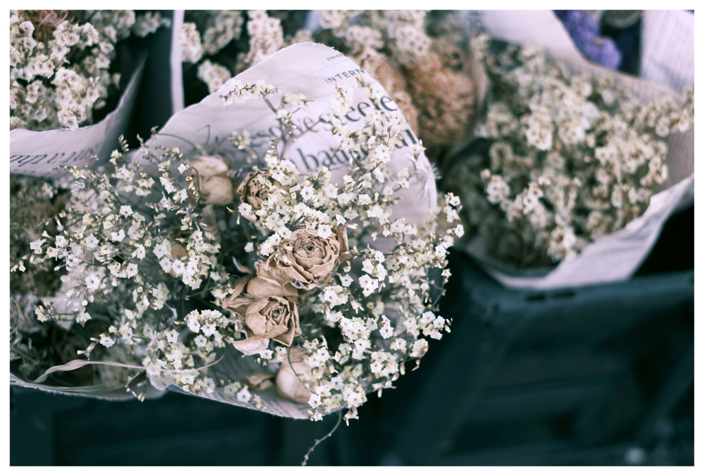 赤でもなくピンクでもなく･･･