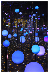 トーキョーズ ラビリンス-202512