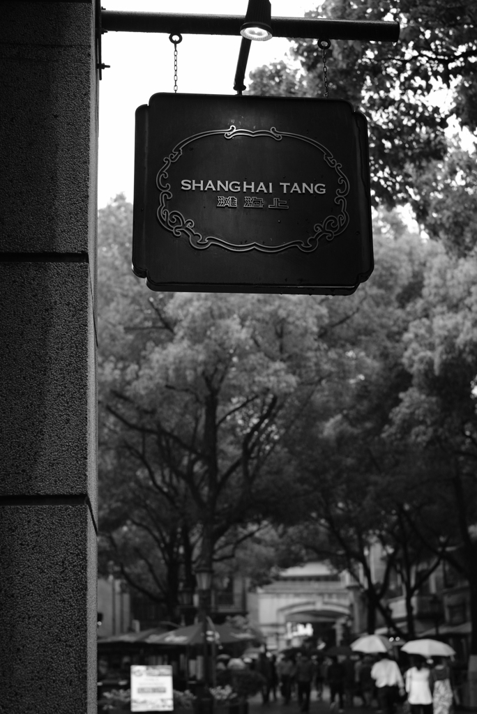 SHANGHAI TANG-②