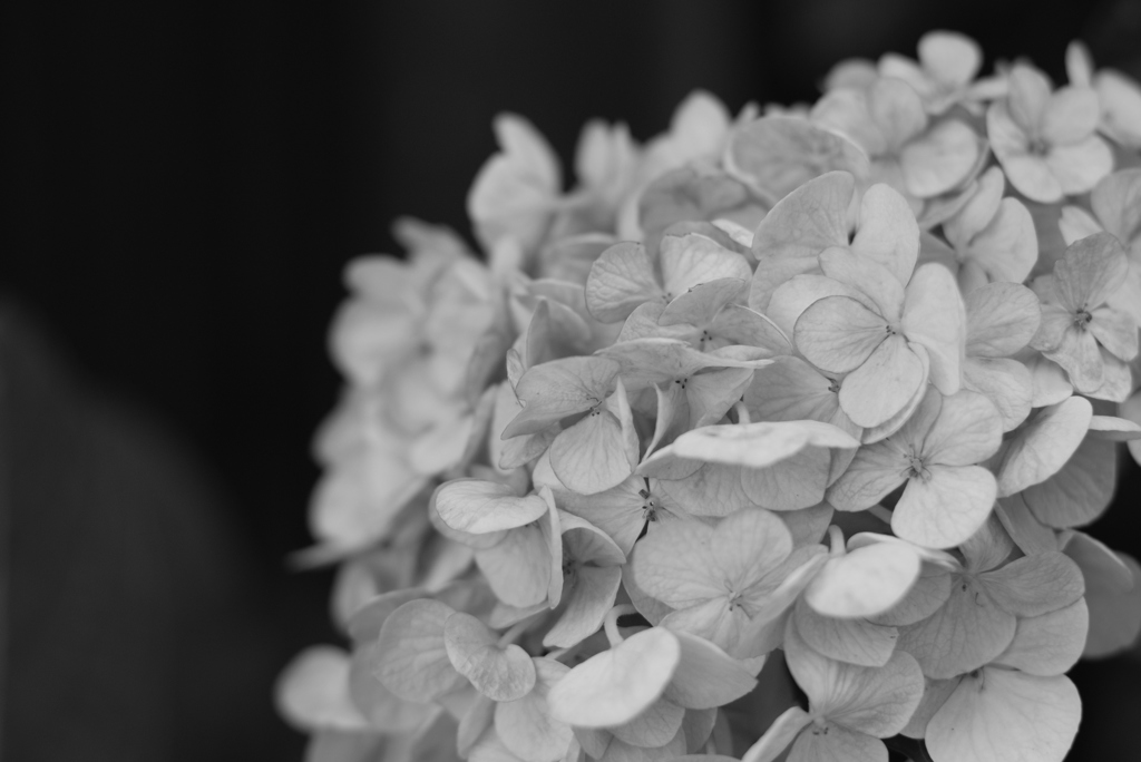 P×ACROS-②