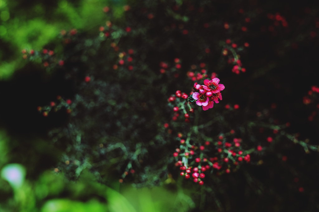 ビューティフル・ライフ･･･