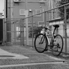 クールな夏