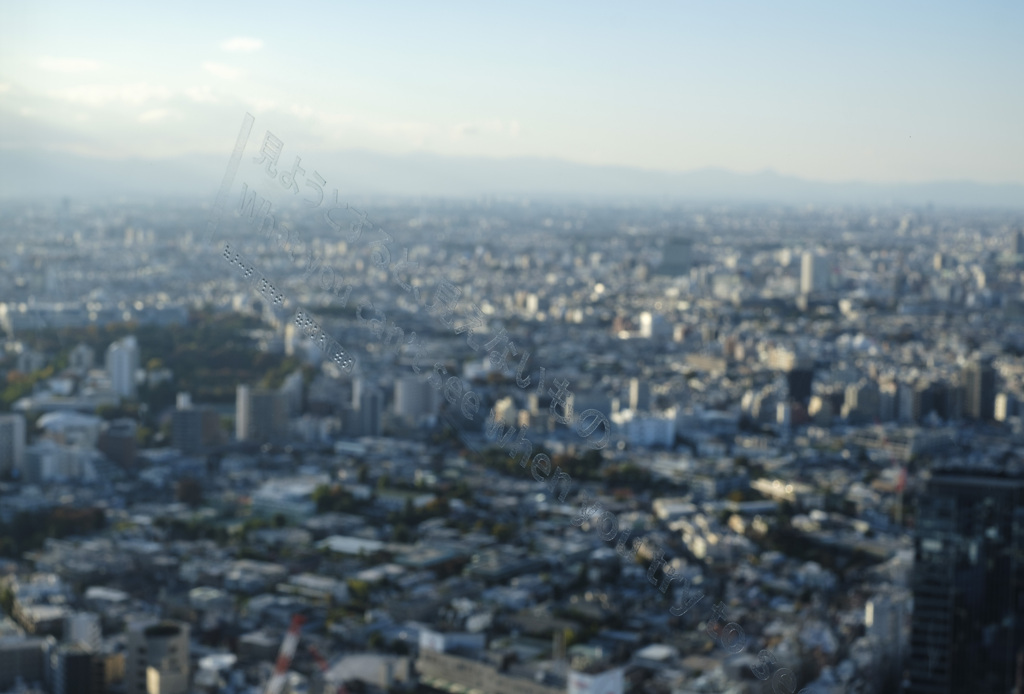 見ようとすると見えないもの･･･