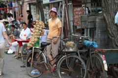 上海むしかご-⑤